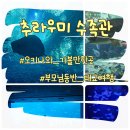 행복수족관 | 오키나와 부모님 동반 태교 여행 추라우미 수족관 관람 후기 주차장 정보