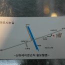 도니마니 이미지