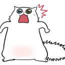 전하초교병설유치원 이미지