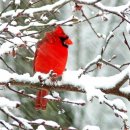 장덕고개 이미지