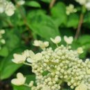 서창캠핑장 이미지