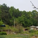 도마령(영) 이미지