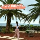 사우스사계 | 제주 서귀포 오션뷰 카페 중문 사우스쇼어 브런치카페 포토존