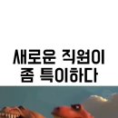 알고 보면 더 재밌는 뮤지컬 ＜쥬라기공원＞ 이미지