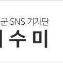 팜스빌드