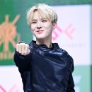 킹덤태권도 이미지