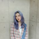 보라미미