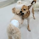 위례유치원 이미지