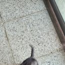 여주-1126 | 여주 주주팜