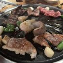 개맛도리 이미지