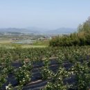 제석농장 이미지