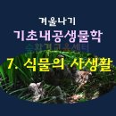 기초내공생물학 PPT - 7. 식물의 사생활(상) 이미지