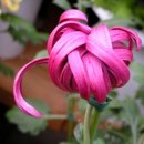 우리의원 이미지