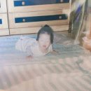 홍성(하)휴게소 | 그냥 이럿케살아요.