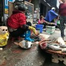 그아저씨 생선가게 이미지