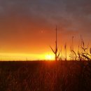 해운초등학교 이미지