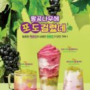 팔공티 이미지