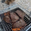 옥이 아구.메기 | 6월은 왤케 느리게 갈까... (블챌에 올리지 못한 잡식 일기^^)
