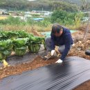 용성농장 이미지