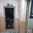 고흥미소동물병원 이미지