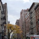 베데스다병원 | 파크 산책 : 더 다코타 / 스트로베리필즈 / 체리 힐 / 보우브리지 / 베데스다 테라스 / 더 몰 / 쉽 미도우