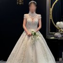 청담 엔조최재훈 본식 레이스 비즈 반팔 드레스 케이 후기