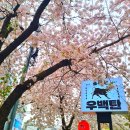 우백탄 본점 네이버블로그