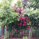 큰어리골 쉼터 이미지