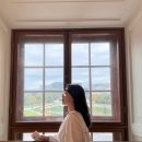 제이학센 | 비엔나 벨베데레 궁전 근처 슈텔제 맛집 “Stockl im Park&#34; 후기(feat. 슈텔제, 슈바인학센, 비프타르타르)