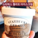 아이스크림을 찾아 | 스타벅스에 아이스크림을 판다고? / 스타벅스 젤라또 아이스크림 후기