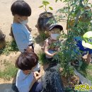 석수두산위브 이미지