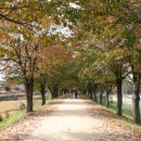 예향천리마실길 7코스 고인돌길 이미지