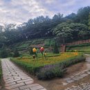 송현공원로 이미지