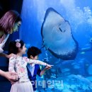한화아쿠아플라넷 이미지