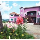 창대펜션 이미지