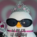 해라뷰티 이미지