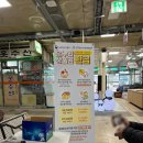 새로미옷수선
