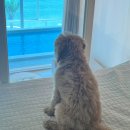 어보브 블루 C 이미지