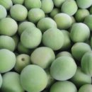 옥영농장 이미지