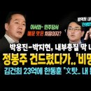 정봉주 건드렸다가 비명 횡사 이미지