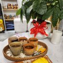 스파 산 이미지