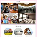 타니스테이 이미지