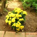 과천사료박물관 이미지