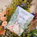 [Mia Wedding] 전주 아엘르웨딩 본식♥