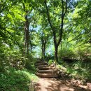 목상동 솔밭길 이미지