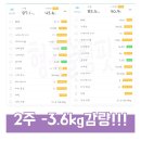 롸잇나우 점핑다이어트 | 형곡동점핑운동 다이어트 시작한지 2주 찐 후기