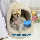 바이오핏 | 🌿하루 한 포로 장 건강 관리! 펫인케어 멀티 바이오핏 후기🐶