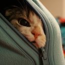 제임스영어전문학원 이미지