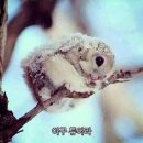 그로우짐 이미지