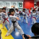 경희대 연호 태권도 이미지